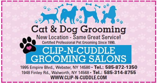 Clip Cuddle